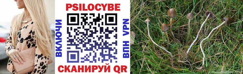 Купить закладки  Находка  Галлюциногенные грибы Psilocybe 